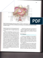 10 CAP 8 App Digerente (Stom - Int.feg - Panc) PDF