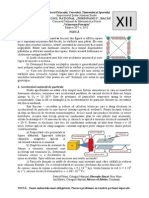 VP 2012-2013 - 12 Subiect PDF