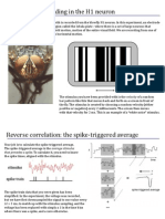 Characterizing Coding in The H1 Neuron