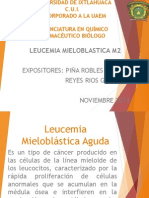 Leucemia Mieloblastica M2