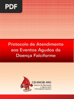 protocolo df CHEMOB.pdf