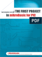 1st Project Pic Basic v101