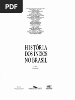 Tylor Anne Chritine _historia Pos Colombiana Da Alta Amazonia_Historia Dos Indios No Brasil_pp_213-238_p