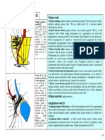 Sectiunea 18 Nervul Glosofaringian Glanda Parotida PDF