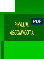 ASCOMYCOTA