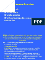 Bronhopneumopatia Cronica Obstructiva