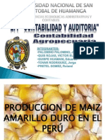 Proceso Productivo Del Maiz