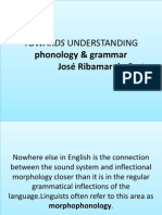 Phonology & Grammar