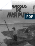 87598198-NEAGU-Fanus-Dincolo-de-Nisipuri.pdf