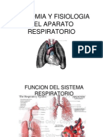 Anatoma y Fisiologia Respiratoria 1221858416155050 8