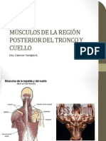 Musculos de La Region Posterior Del Tronco y Del Cuello