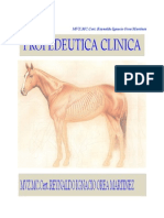 Propedeutica Clinica