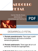 Desarrollo Fetal