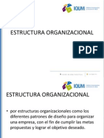 Estructura Organizacional