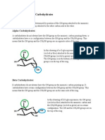 α and ß carbohydrates PDF