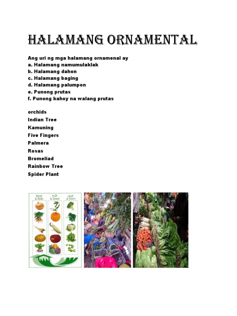 Pangalan Ng Mga Halaman/punong Ornamental Na Namumulaklak nabahala