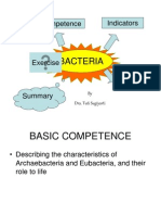 Bacteria 1