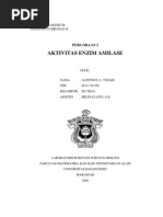 Download aktivitas-enzim-amilasepdf by dyahyektiindrajati SN181960397 doc pdf