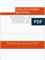 Bacillus Thuringiensis (BT)
