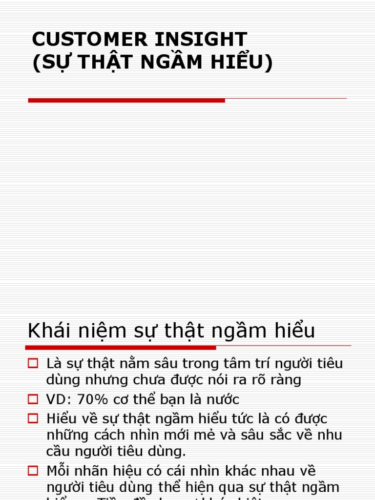 Customer Insight | PDF
