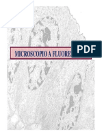 Microscopi Fluo e Confo]