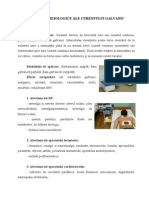 EFECTELE FIZIOLOGICE ALE CURENTULUI GALVANIC.doc