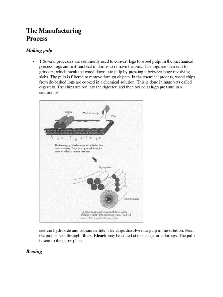The Manufacturing of Paper | PDF | Pulp (Paper) | Paper