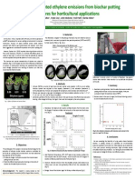 SAT Biochar Ethylene Poster 10 - 10b PDF