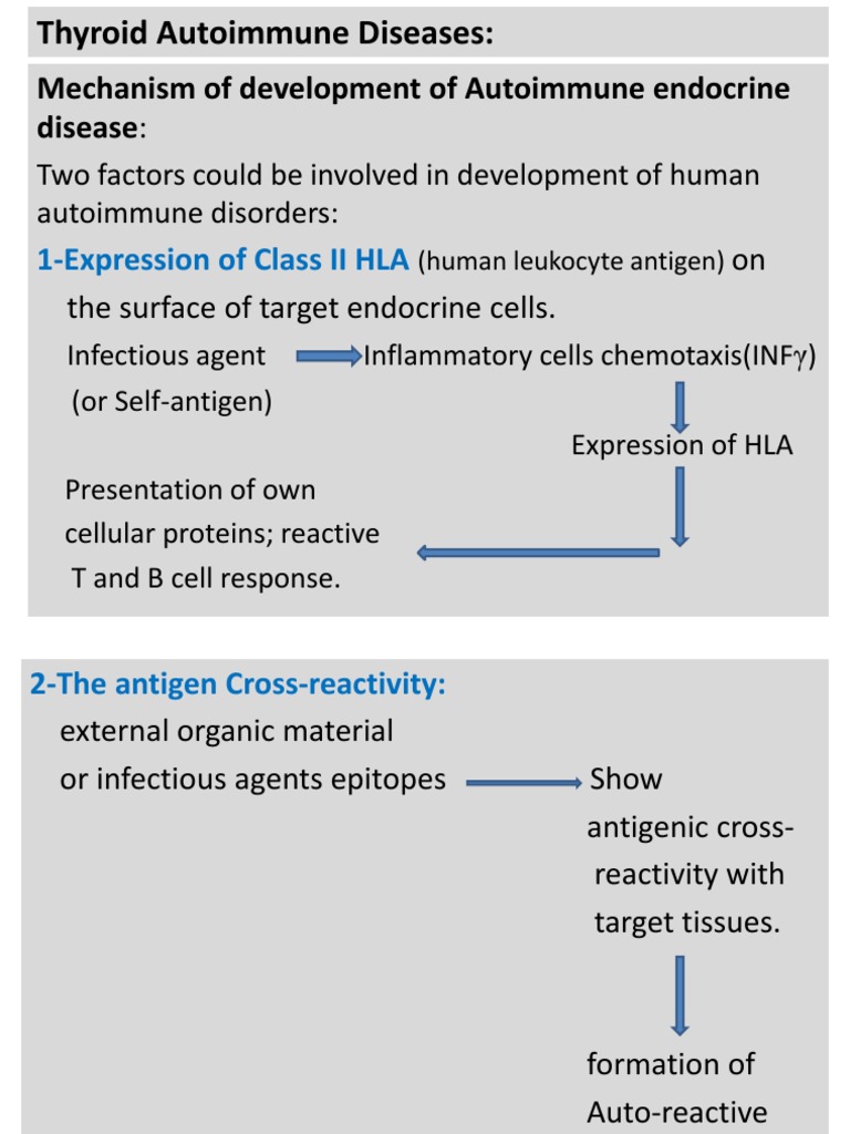 Thyroid Autoimmune Diseases Explained | PDF | Autoimmunity | Thyroid