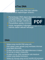 DNA Identifikasi