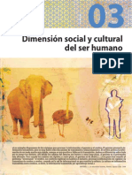 Dimensión social y cultural del ser humano