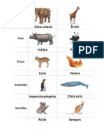 Dzīvnieki Dažādos Kontinentos PDF