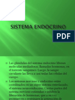 Sistema Endocrino