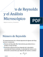 Número de Reynolds y el Análisis Microscópico.Lab.Int1