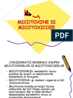 micotoxine.ppt