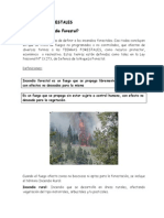 A Que Llamamos Incendio Forestal