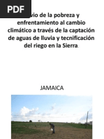 Coleccin Agua de Lluvia