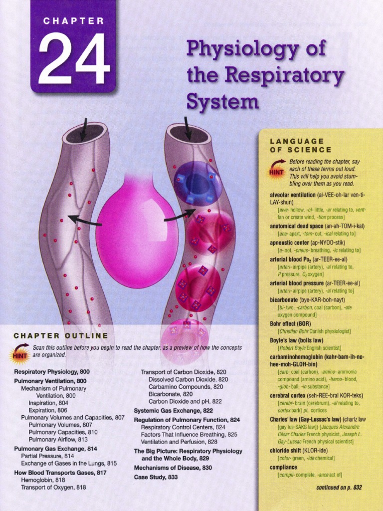 24 - Physiology of The Respiratory System PDF | PDF | Respiratory ...