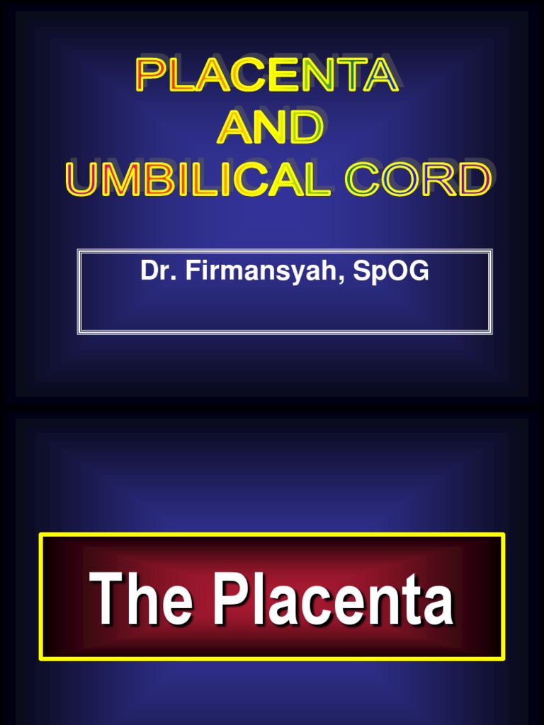 Placenta Umbilical Cord | PDF | Placenta | Fetus