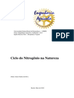 Ciclo do Nitrogênio na Natureza