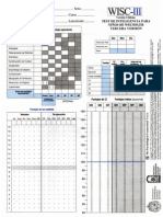 Protocolo Wisc III