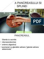 Anatomia Pancreasului I PDF