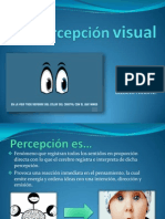 Percepción Visual