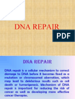 DNA Repair-R