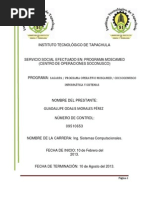 Servicio Social- Guadalupe Odalis Morales Perez