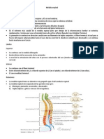 Médula Espinal Silau