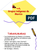 Gruposindigenasdemexico 091215220727 Phpapp02