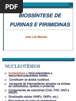 BIOSSINTESE PURINAS PIRIMIDINAS