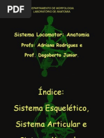 Aula 3 Sist Locom + Sist Osseo + Articulaçoes