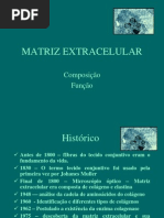 Aula 3. Matriz Extracelular (2)